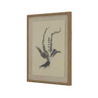 Framed botanical fern illustration with roots, printed on linen, set in a light wood Garda frame.