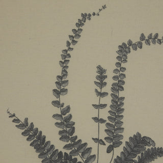 Close detail of the dark grey fern illustration printed on textured beige linen showing individual fronds.