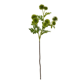 Artificial green globe thistle spray stem with spiky heads and dark green leaves, full length shot.