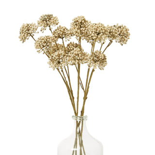 Multiple brown artificial allium stems displayed together in a clear glass vase against a white background.