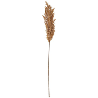 Full length view of the brown faux pampas grass stem against a white background.