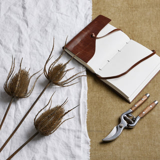 Three brown teasle stems lying on white linen and brown hessian next to a leather notebook and secateurs.