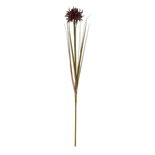 Full length view of a single burgundy aster stem with long green leaves, presented as a cutout on a white background.