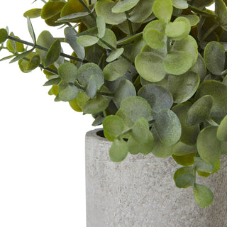 Close detail of the artificial button eucalyptus leaves and the rough texture of the grey pot.