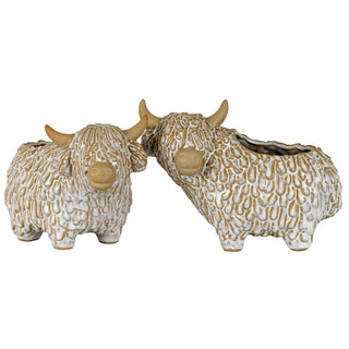 Two ceramic highland cow planters grouped together, facing forward, highlighting the textured glaze.