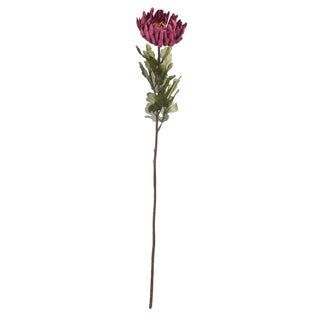 Single artificial burgundy spider chrysanthemum stem, full length studio shot on white.