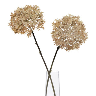 Pair of artificial Coffee Allium stems in a clear rectangular vase.