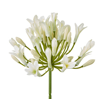 Artificial cream agapanthus flower head detail, showing the cluster of white buds and open florets.