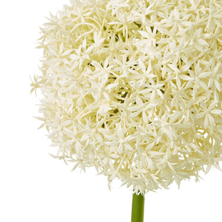 Close detail of the artificial cream allium flower head, showing the dense cluster of star-shaped petals.