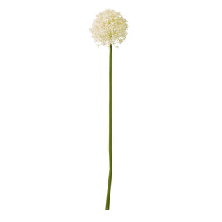 Single artificial cream allium stem with a spherical flower head and long green stalk, displayed front-on.