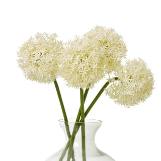 Three artificial cream allium stems arranged in a clear glass vase.