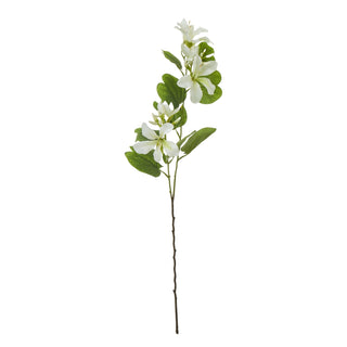 Plain front-on product shot of the artificial stem featuring cream Bauhinia flowers and broad green leaves.