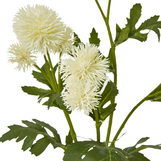 A close-up detail of the artificial cream globe thistle heads and serrated green foliage.
