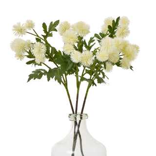 Three artificial cream globe thistle stems displayed in a clear glass bottle vase on a white background.