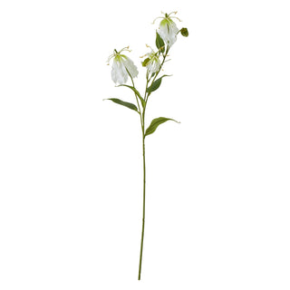 Full-length product shot of the artificial cream Gloriosa floral stem with three white blooms and green foliage.