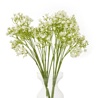 Artificial cream gypsophila stems grouped together in a clear glass vase.