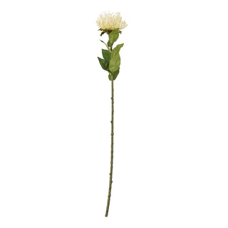 Artificial cream protea flower stem with green leaves on a long brown stalk, shown front-on against white.