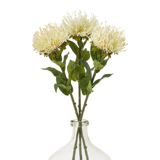 Three artificial cream protea stems grouped together in the neck of a clear glass vase.