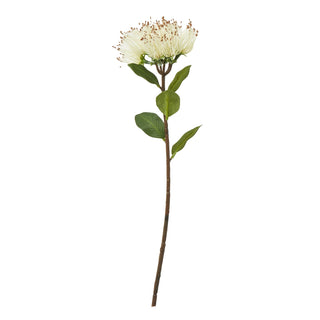 Plain front-on view of the artificial cream protea nitida stem and green leaves.