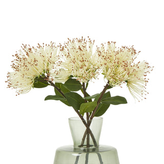 Three artificial cream protea nitida stems arranged in a translucent green glass vase.