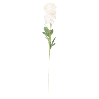 Front-on view of a single artificial cream ranunculus stem showing two blooms and long green stem.