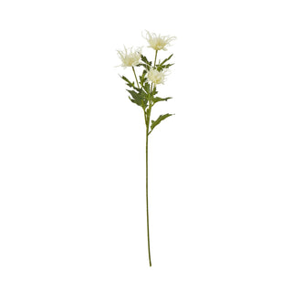 Plain front-on studio shot of a single artificial cream sea holly stem with three flower heads and green leaves.