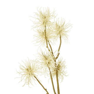 Close detail showing the dense, spiky texture of the cream xanthium flower heads and the multiple brown stems.