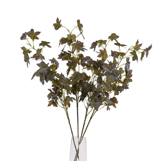 Multiple variegated maple stems displayed in a tall, clear glass vase against a white background.