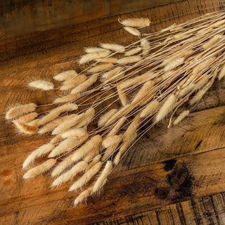 Fluffy pale dried bunny tail seed heads and thin stems resting on a dark, rustic wooden tabletop.