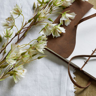 Detail shot of the white fringed flowers and buds resting on a brown leather-bound notebook.