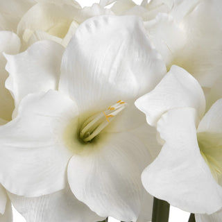 Extreme close up showing the white bloom centre, stamen, and pale green throat.