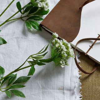 Close view of the clustered white flowers and green leaves of two faux cow parsley stems, styled next to a brown leather journal.