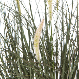 Close-up of the artificial fountain grass showing dark green blades and fluffy pale beige seed spikes.