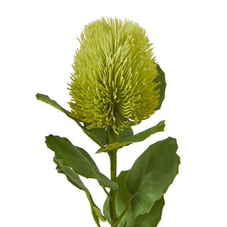 Detailed shot of the artificial banksia bloom, showing the lime green spiky texture and upper foliage.