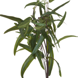 Tight studio close-up showing the cluster of narrow, dark green artificial eucalyptus leaves and thin brown stems.