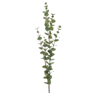 Long, slender faux eucalyptus stem displaying numerous small, rounded, grey-green leaves on thin branches.
