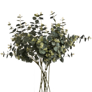 Studio shot of a dense arrangement of dark and light green eucalyptus sprays in a glass vase.