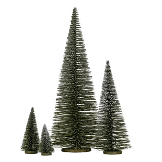 Four conical bottle brush trees of varying heights, dark green with frosted tips, on a white background.
