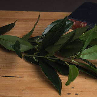 Close-up of the faux bay leaf spray showing varied leaf textures and central stems, styled next to a dark book.