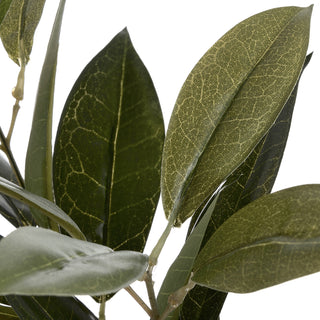 Detail shot of the faux bay leaves highlighting the mottled texture and contrasting dark and olive green colours.