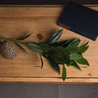 Faux bay leaf spray lying flat on a wooden surface, styled with a dark book and a large decorative pine cone.