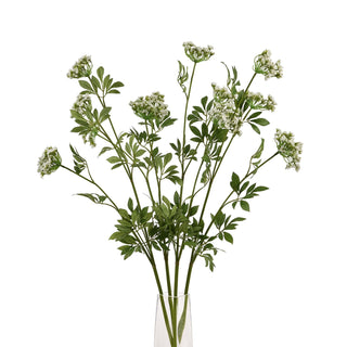Multiple faux cow parsley stems arranged in a transparent glass vase against a plain white background.