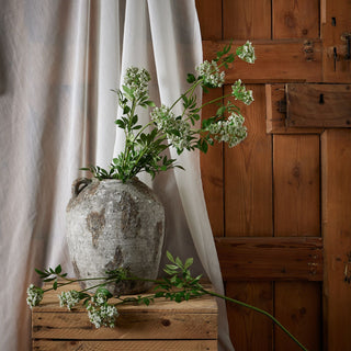 Faux cow parsley stems in a textured grey urn on wooden crates, set against sheer fabric and a wooden door.