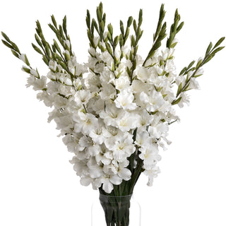 Dense bouquet of white artificial gladioli stems with green buds, shown in a glass vase.