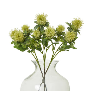 Multiple faux green safflower stems displayed in the neck of a clear glass vase.