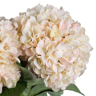 Extreme close-up of artificial hydrangea florets showing cream, pale yellow, and blush pink colouration.