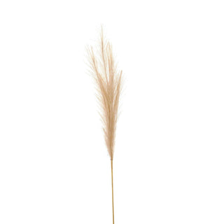 Single faux pampas grass stem with a fluffy, bleached beige plume and a thin brown stem, shown against a white background.