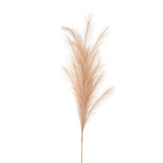 Faux pampas grass stem with a light beige fluffy plume, shown front-on against a plain white background.