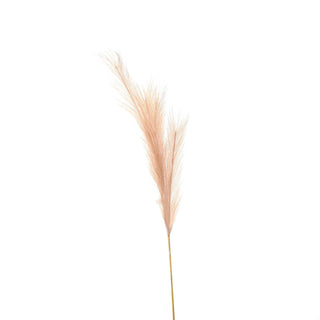 Fluffy artificial pampas grass stem in a natural beige-pink colour.