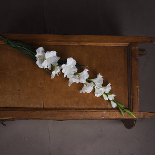 Single white faux gladiolus stem lying on a rustic wooden shelf, showing open flowers and closed buds.